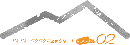 ドキドキ・ワクワクが止まらない！ REASON 02